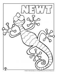 Happy newt from oddbods coloring pages. Letter N Worksheets Crafts Woo Jr Kids Activities