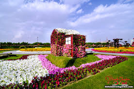 ميراكل جاردن دبي صور موقع عنوان احداثيات أسعار