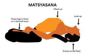 Matsyasana Yogasana For Respiratory Abdominal Neck Ailments