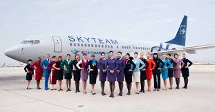 Skyteam The Ultimate Guide Loungebuddy