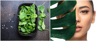 Resep olahan bayam juga terbilang sangat praktis, sangat cocok terlebih bagi kamu yang baru tujuh resep olahan bayam yang enak dan mudah dibuat yang dirangkum merdeka.com melalui brilio. 25 Manfaat Bayam Hijau Untuk Kesehatan Dan Kecantikan Tingkatkan Imun