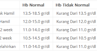 Ibu hamil membutuhkan asupan nutrisi yang lebih banyak mulai dari trimester 1 hingga trimester 3. Makanan Tinggi Zat Besi Untuk Naikkan Hb Dan Turunkan Risiko Anemia Pengedar Shaklee Setia Alam Mysupervitamins Com