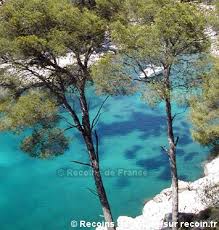 Port Miou Touriste Calanque Tourisme
