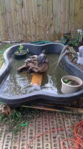 32 inspiring diy backyard turtle pond designs ideas. Pin By Cristin Rose On Turtle Turtle Pond Turtle Habitat Turtle Aquarium