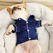 Check spelling or type a new query. Soft Silk French Bulldog Pajamas Pet Dog Pajama For Small Dogs Shih Tzu Puppy Cat Clothes Pets Clothing Walmart Com Walmart Com