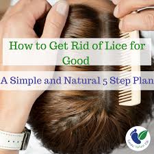 At first, take enough baby oil and massage it on your scalp for a few minutes. A 5 Step Plan For Natural Lice Treatment That Will Kill Lice For Good