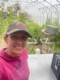 Are Lomi electronic composters more effective with bacteria pods?