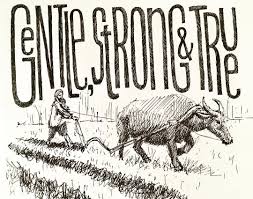 Emily Gallardo On Instagram I Started Off Drawing A Carabao The Philippine Domestic Beast Of Burden The Workhorse Of Agr Drawings National Symbols Beast