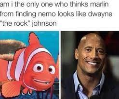 Finding Rocky Meme By Lememethief Memedroid