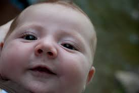 lachlan's many faces