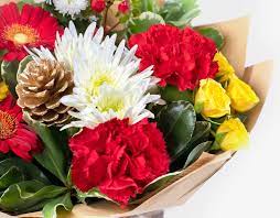 Maybe you would like to learn more about one of these? Same Day Christmas Inspired Flowers With Delivery In Ireland