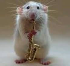 Saxaphone Cute Rats Silly Animals Funny Mouse