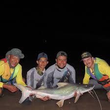 Acampamento Alessandro Dutra Do Nascimento