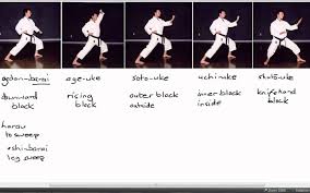 Karate Terminology Basic Blocks Part 1 Karate Karate Moves Shotokan Karate