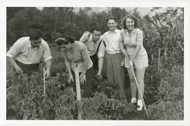 We did not find results for: Victory Gardens The Canadian Encyclopedia