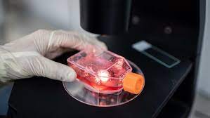 Sinovac biotech ltdshs ist ein unternehmen. Biotech Aktien Gewinne Aus Dem Reagenzglas