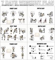 7 days workout plan full body fitness training leg arm