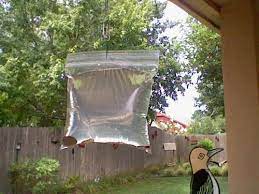 7 don't destroy all the spider webs outdoors. How To Keep Pesky Flies Away From Your Bbq Get Rid Of Flies Keep Flies Away Outdoor