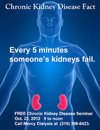 Are You At Risk For Chronic Kidney Disease Kidney Disease Awareness Kidney Disease Chronic Kidney Failure