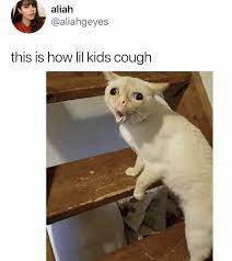 27 Amusing Memes Tweets That Ll Start Your Week Right Kids Cough Funny Cat Memes Cat Memes