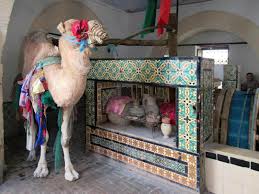 The feet of camel is broad and therefore the area of contect of camel with sand is large. Kairouan Has Magic And Mystery And It S On The Map Aw
