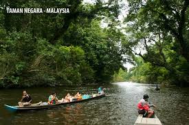 Tempat menarik di sarawak ini merupakan taman negara yang juga berfungsi sebagai taman pemuliharaan raplessia yang terletak di lundu. Day Trip To Taman Negara National Park Of Malaysia 2021 Kuala Lumpur