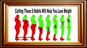 Daily Routine Diet Weight Loss Diet Chart Health Youtube