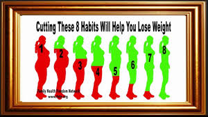 daily routine diet weight loss diet chart health youtube