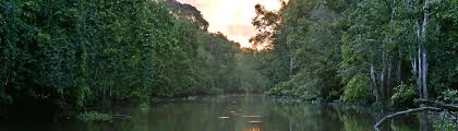 Taman negara national park was established in malaysia in 1938/1939 as the king george v national park. Borneo Natur Und Kultur In Den Malaysischen Bundesstaaten Sarawak Und Sabah 2019 Bios Buro Fur Umweltgutachten