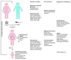 Genetic And Epigenetic Insights Into Fetal Alcohol Spectrum Disorders Genome Medicine Full Text Fetal Alcohol Spectrum Disorder Fetal Alcohol Syndrome