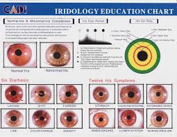 Healing Ways Iridology Charts Iridology Chart Health