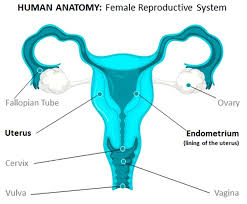 Hpv infection can be serious. Know The Symptoms Of Gynaecological Cancer Take Care Of Your Health