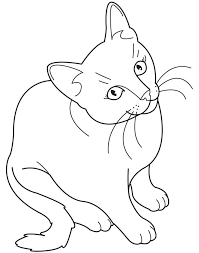 Realistic Cat Coloring Pages Coloring Pages Hd For Kids Coloring 3 Cat Coloring Hd Ki Selbstgemachte Leinwandkunst Muster Malen Katzenzeichnung