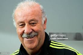 4 561 Spanien Vicente Del Bosque Stock Photos, High-Res Pictures, and  Images