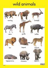 Wild Animals Wall Chart