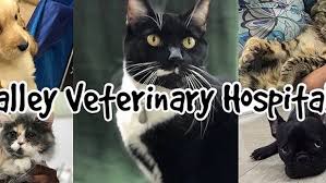 Opening at 9:00 am tomorrow. Valley Veterinary Hospital Small Animal Hospital In Modesto