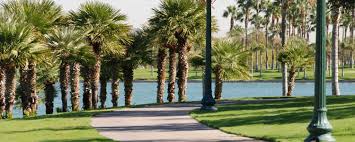 I recommend calling one of the park interns and asking. Revealed The Best Neighborhoods In Goodyear Arizona