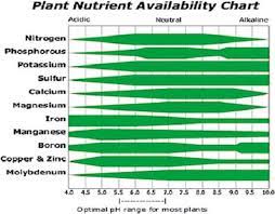 Potassium Nutrition In Plants And Its Interactions With Other Nutrients In Hydroponic Culture Intechopen
