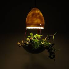 hanglamp plant en lamp nr3 hanglamp planten lampen
