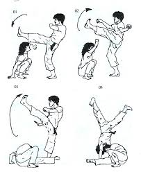 Resultado De Imagen Para 3 Tipos De Kung Fu Martial Arts Training Dummy Brazilian Martial Arts Martial Arts Styles