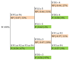 Big things come in small packages. Ijerph Free Full Text Ability To Predict Side Out Performance By The Setter S Action Range With First Tempo Availability In Top European Male And Female Teams Html