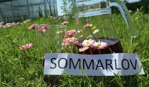 Nu ska jag njuta av ett riktigt skönt sommarlov, packa ner lägenheten i kartonger, tillbringa 10 häftiga dagar i schweiz tillsammans med bästa vännerna, flytta till mitt första hus, inreda mitt första hus, njuta. Guiden Sommarlovet I Goteborg