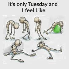 50 Amazing Tuesday Morning Funny Quotes Images Looking for the best funny tuesday quotes pictures, photos & images? amazing tuesday morning funny quotes