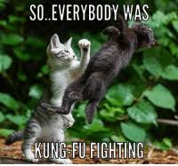 Share the best gifs now >>> 25 Best Everybody Was Kung Fu Fighting Memes Everybody Memes Everybody Was Kung Fu Memes Kung Memes