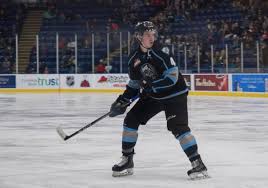 Hayden is also a professional ice hockey defenceman. Cale Fleury Makes Nhl Roster With Montreal Canadiens My East Kootenay Now