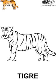 Em nosso site você encontra um vasta coleção de páginas para colorir, ilustrações e fotos. Colorir Desenho Tigre Desenhos Para Colorir Smartkids