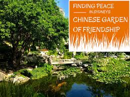 Finding Peace In Sydney S Chinese Garden Of Friendship Chinese Garden Garden Photography Finding Peace