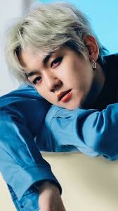 Bagaimana biografi dan awal karirnya? Biografi Baekhyun Byun Baek Hyun Fakta Dan Profile Aktor Aktris Korea