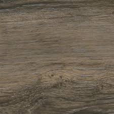 Maybe you would like to learn more about one of these? Interceramic Rainforest Ceramic Brown Ceramic Porcelain Tile St Augustine Fl Hasty S St Augustine Flooring