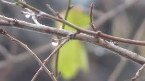 Mai exact, în noaptea de 30 spre 31 martie. Azi E EchinocÈiul De PrimÄvarÄ Cand Se SchimbÄ Ora Cotidianul